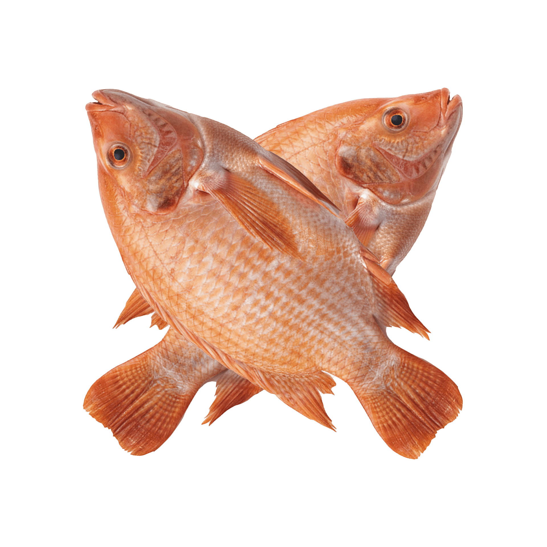 650g ,700g,850g – Image 5